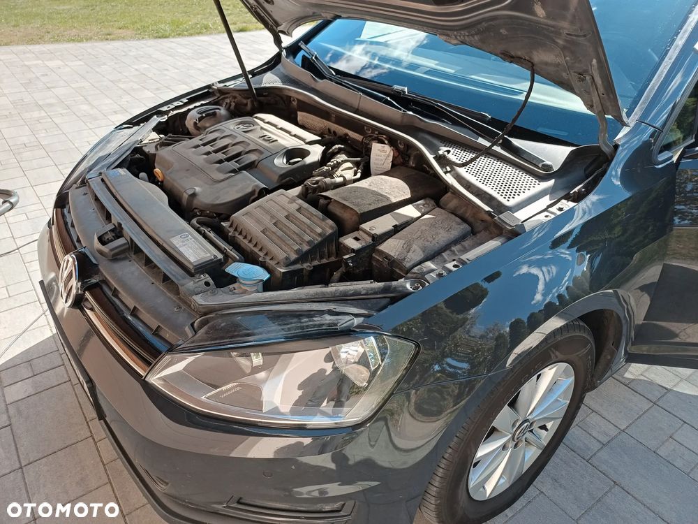 Volkswagen Golf - 39