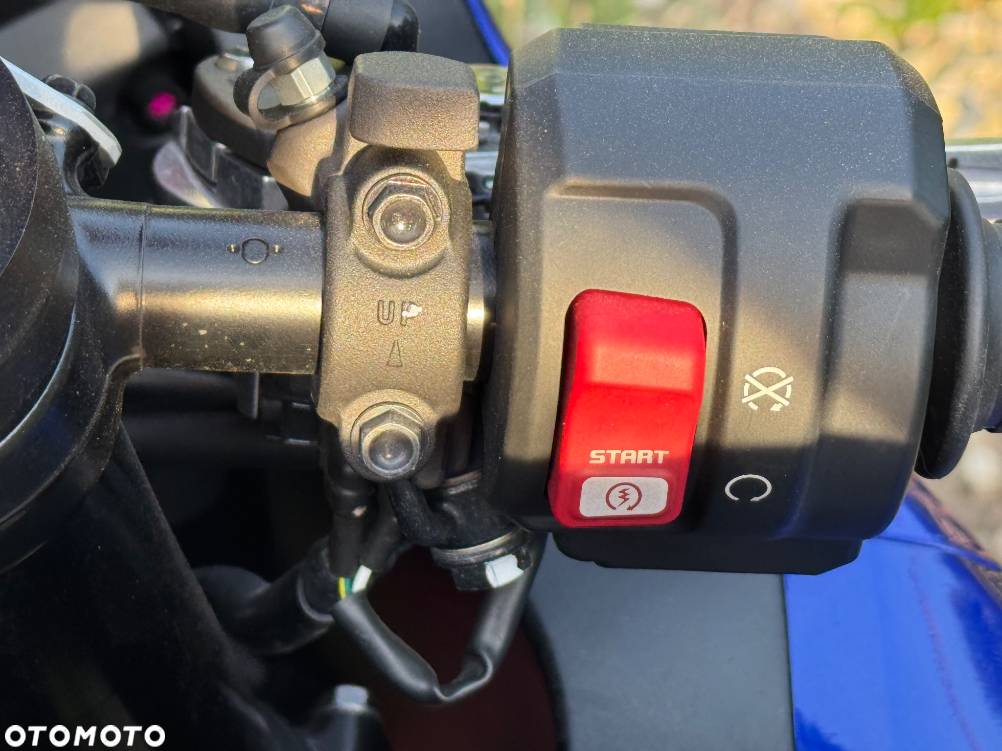 Honda CBR - 17