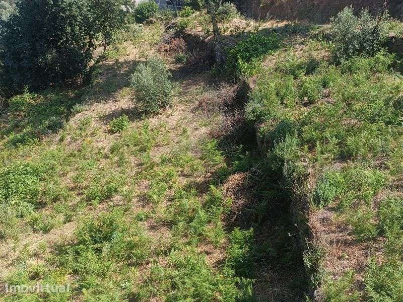Vende-se terreno rústico em Ancede, com vista rio Douro - Grande imagem: 5/9