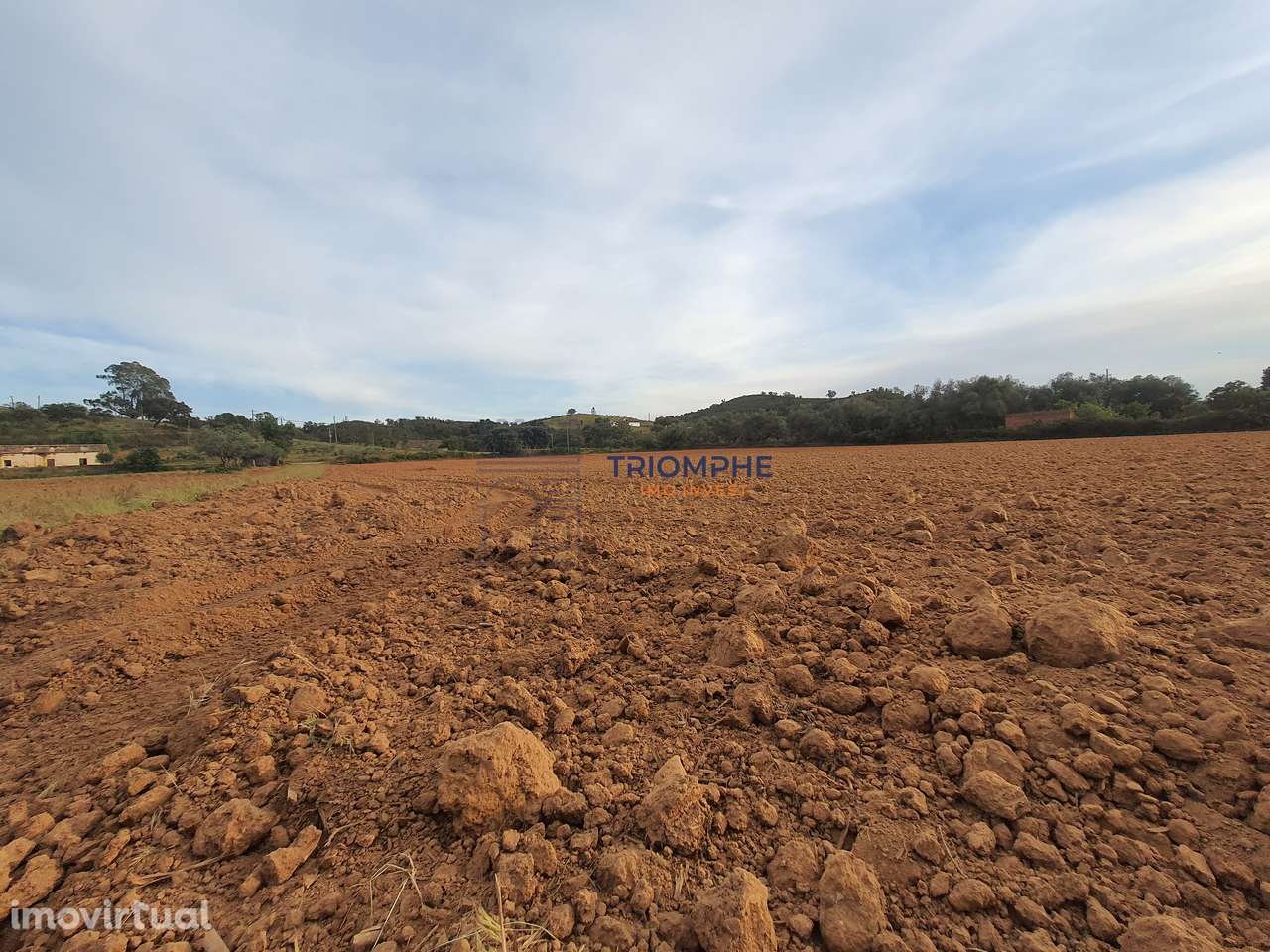 Terreno com Ruína - Silves - Projeto de Empreendimento Rural - Grande imagem: 5/6