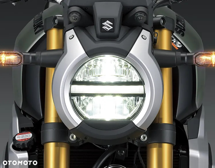 Suzuki GSX - 13