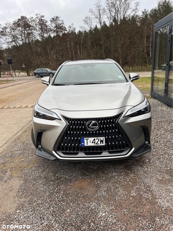 Lexus NX 300 AWD Luxury Line - 1