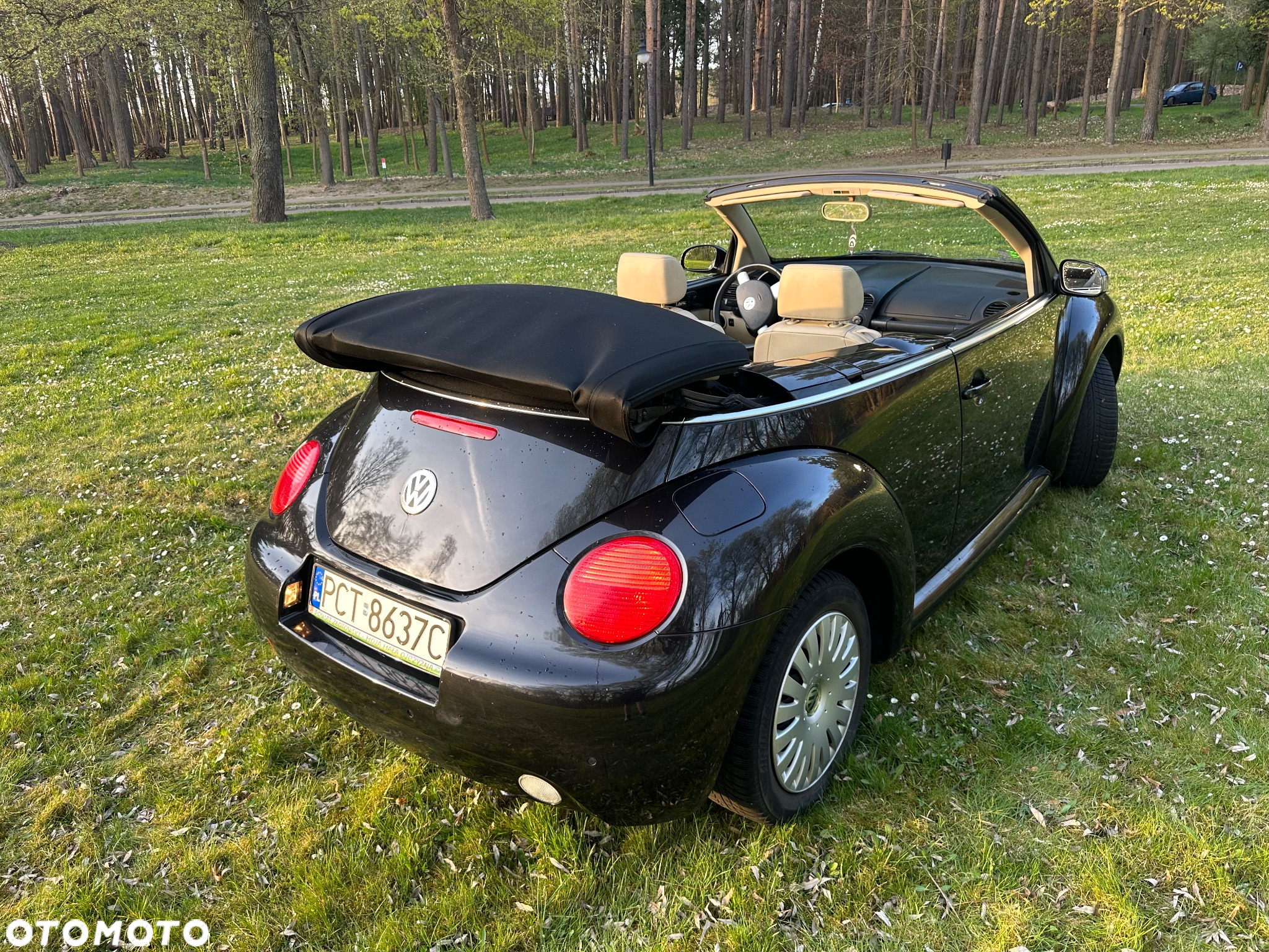 Volkswagen New Beetle 2.0 - 17