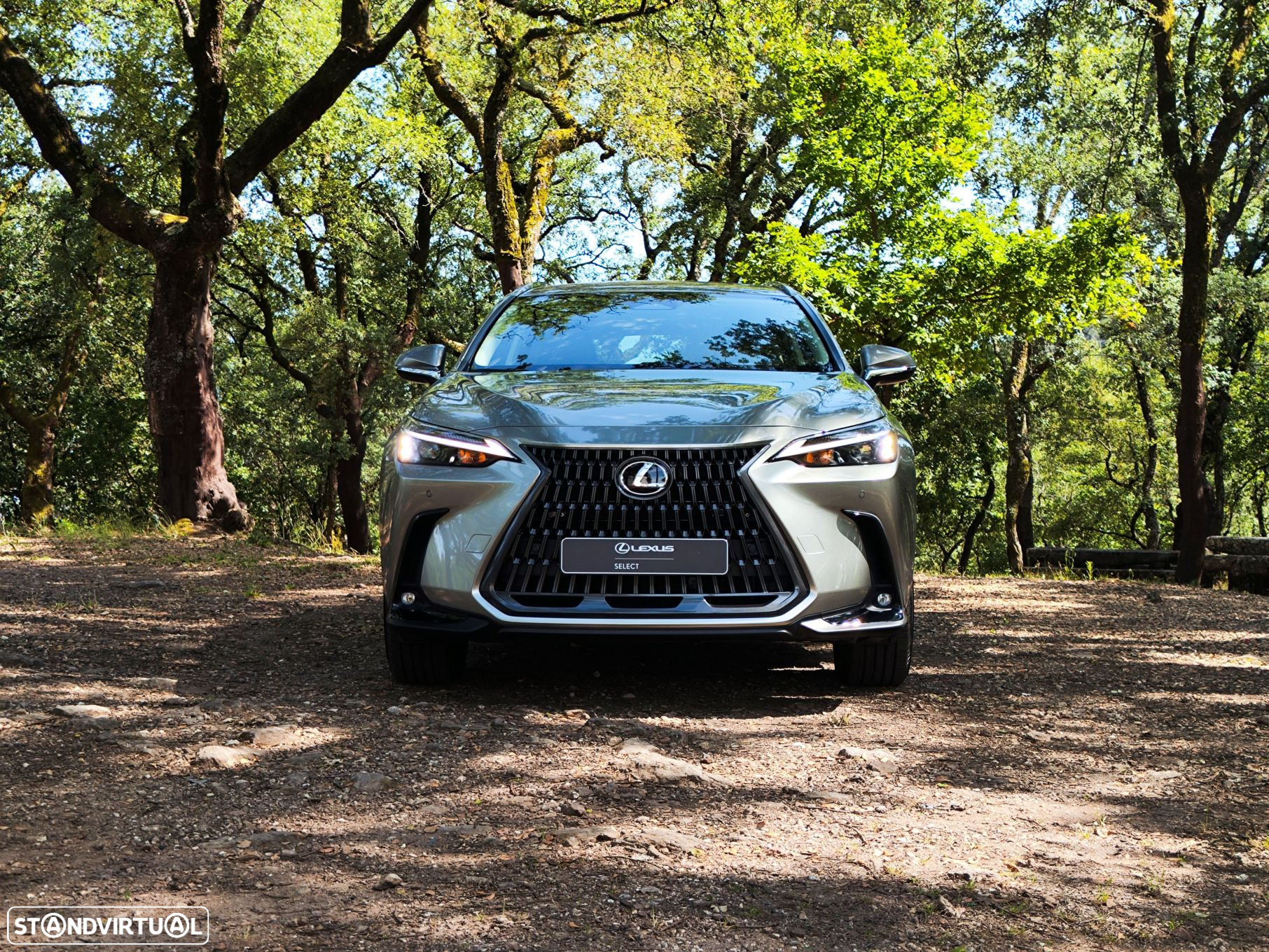 Lexus NX 450h+ - 2