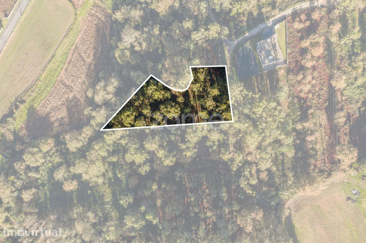 Terreno Rústico com 3966 m2 na Carvalhosa, Paços de Ferreira - Grande imagem: 3/17