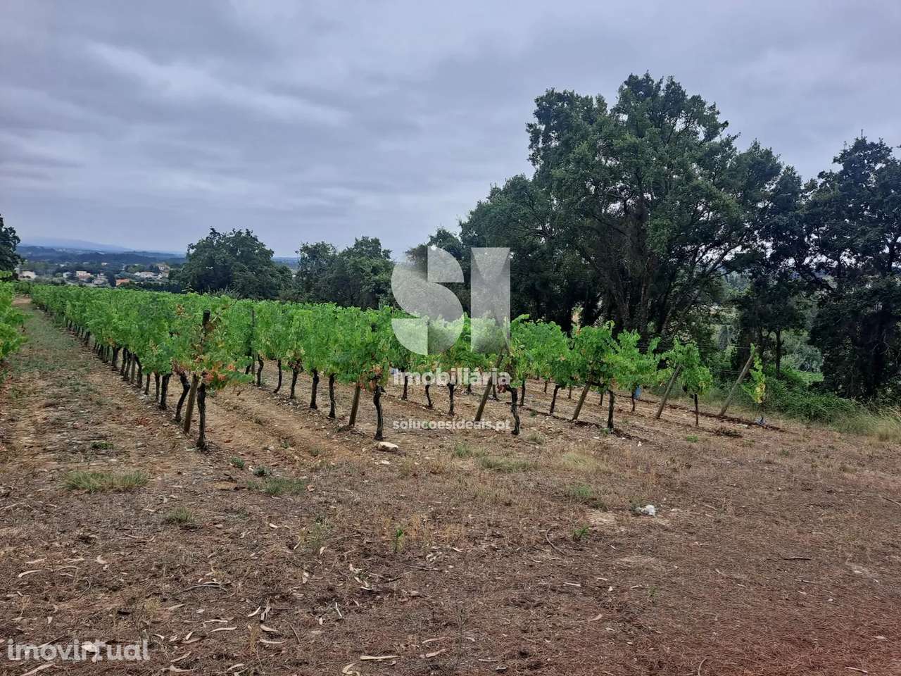 Terreno em Anadia - Grande imagem: 4/23