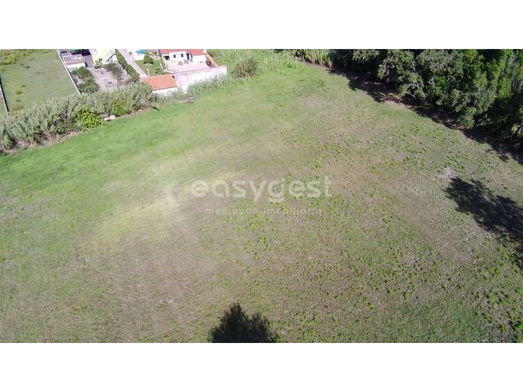 Terreno para construção perto do centro de Carvide- Monte Real - Grande imagem: 4/17