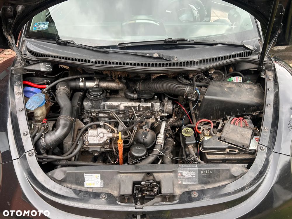 Volkswagen Beetle - 7