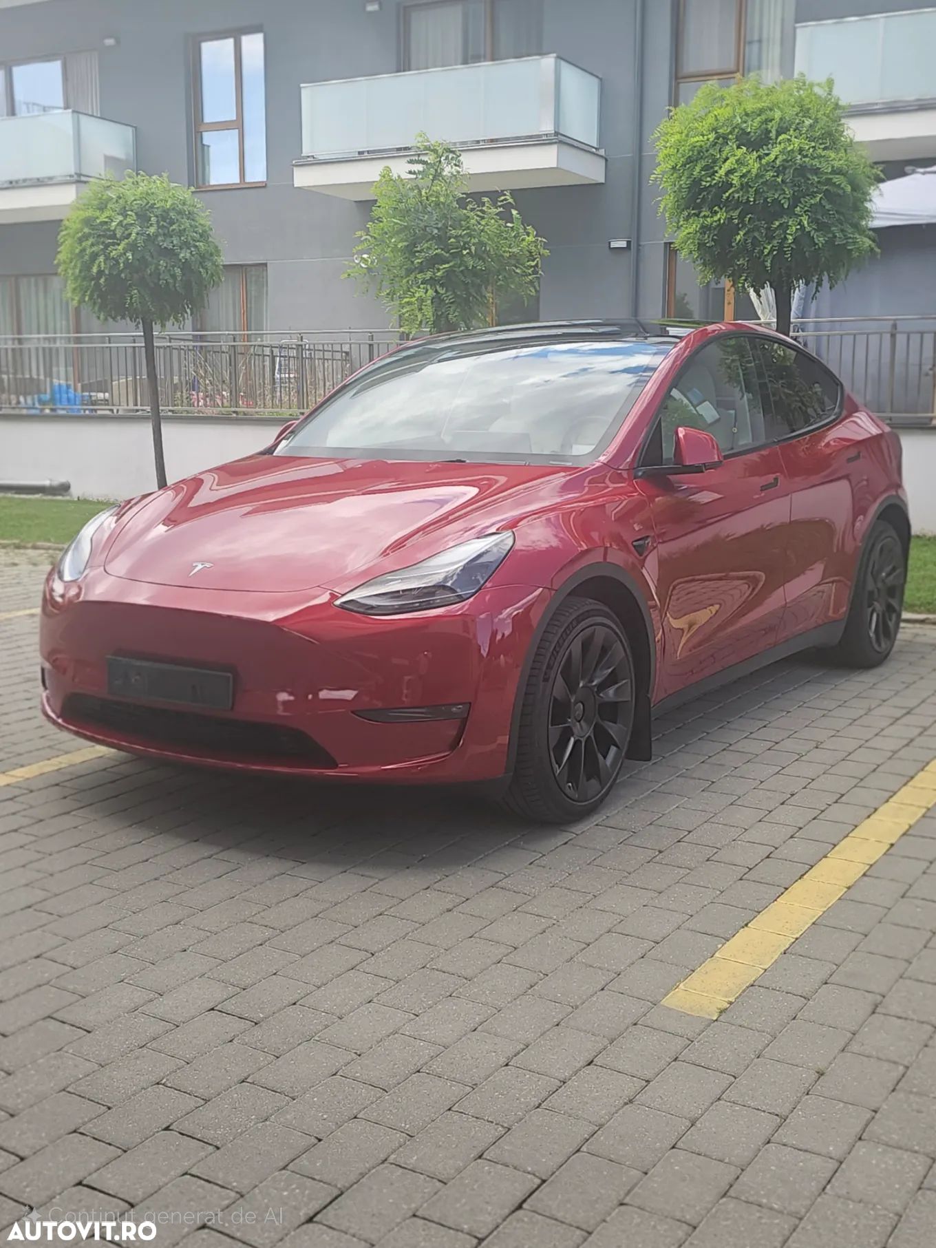 Tesla Model Y - 1