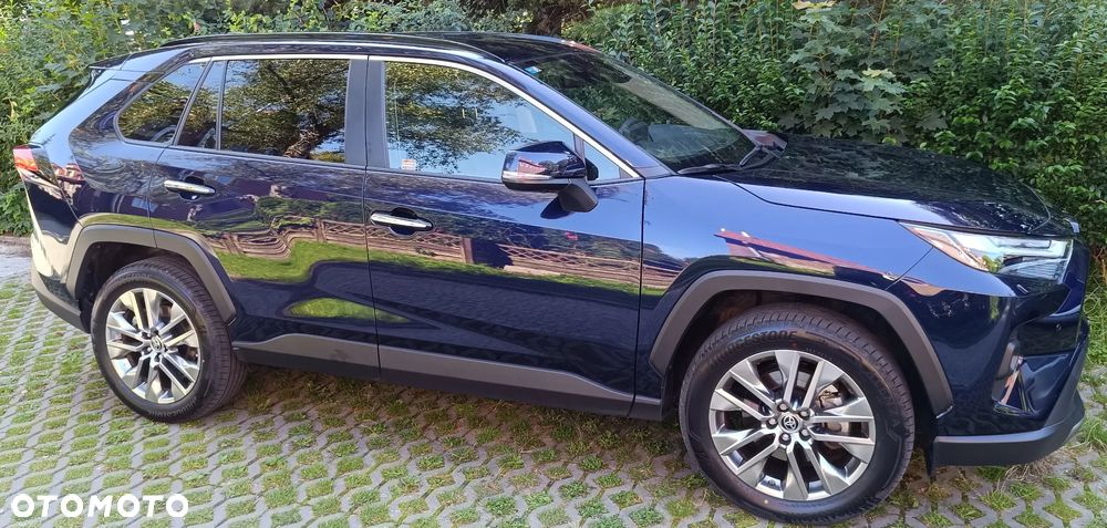 Toyota RAV4 2.5 Hybrid Executive 4x2 - 7