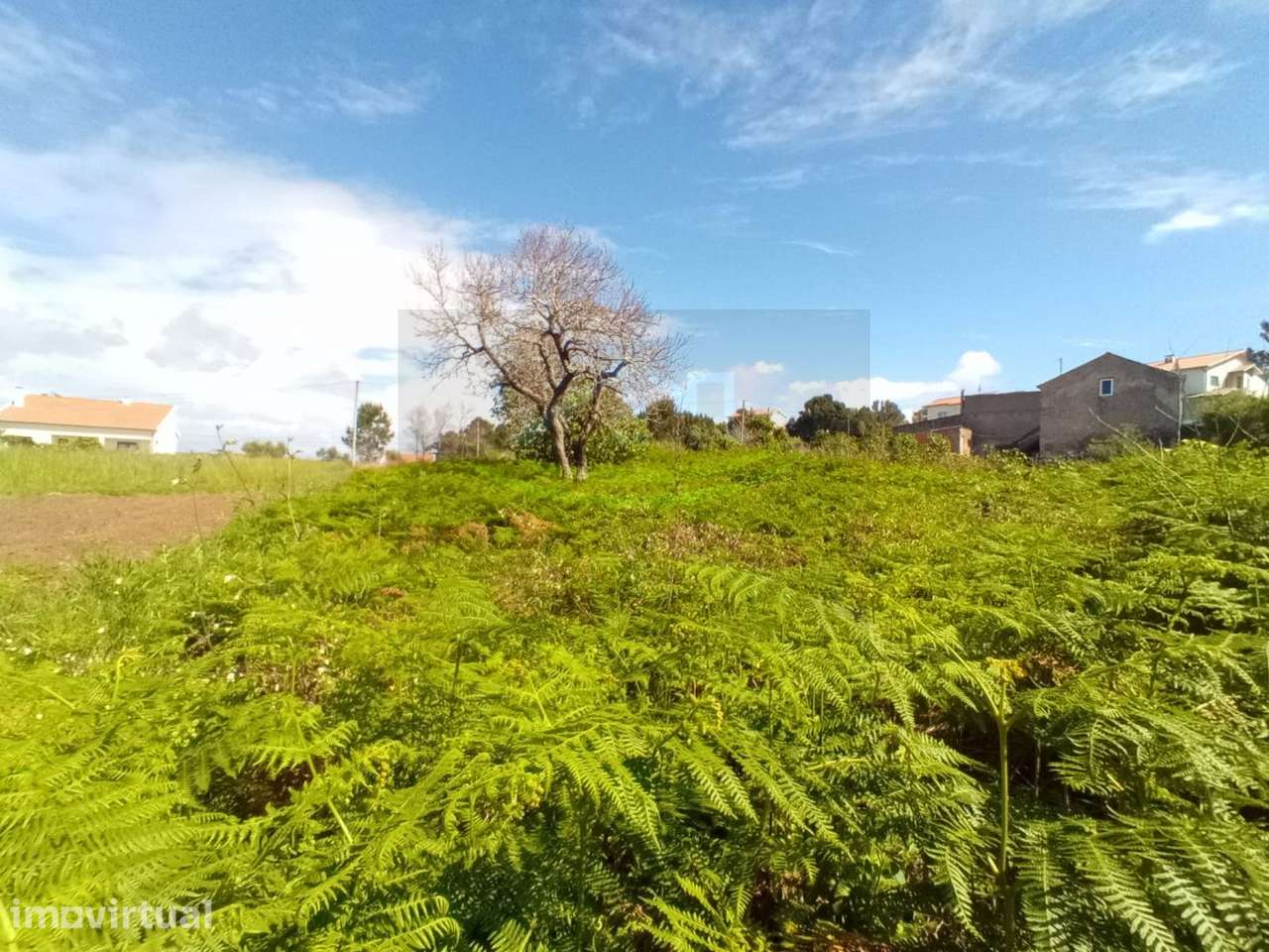 Terreno 1190m² com Viabilidade para 2 Casas – Tavarede, Figueira da - Grande imagem: 3/20