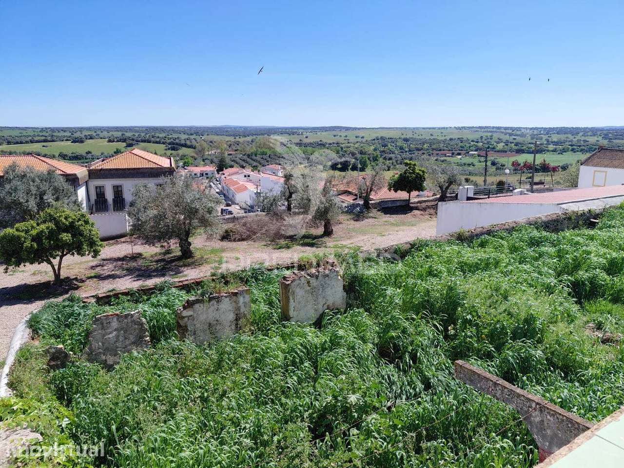 Casa típica do Alentejo, Monforte - Grande imagem: 2/35