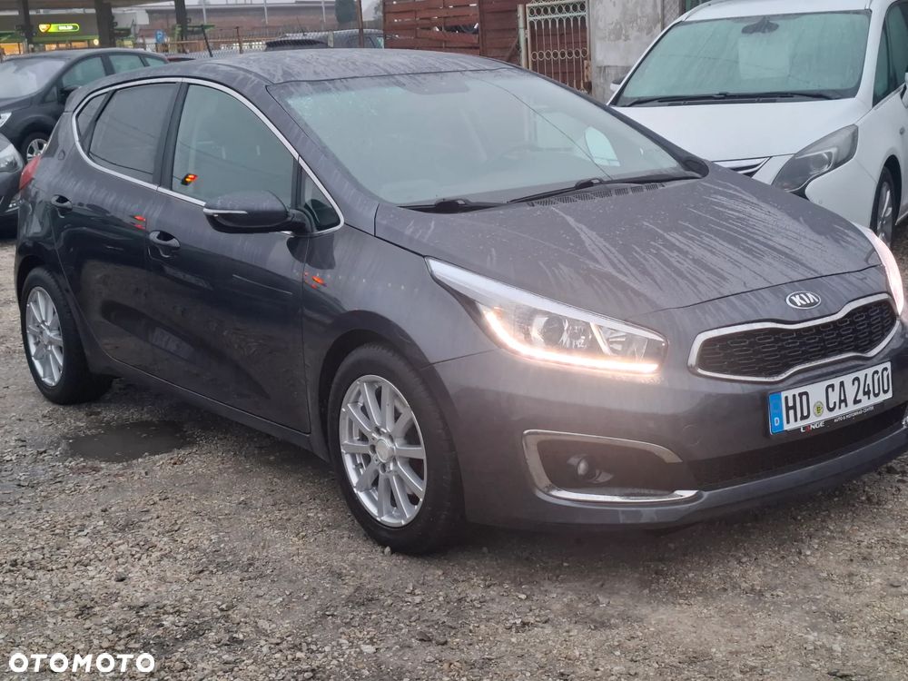 Kia Ceed - 1