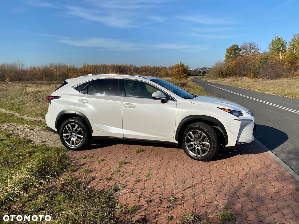 Lexus NX 300h Comfort AWD - 3