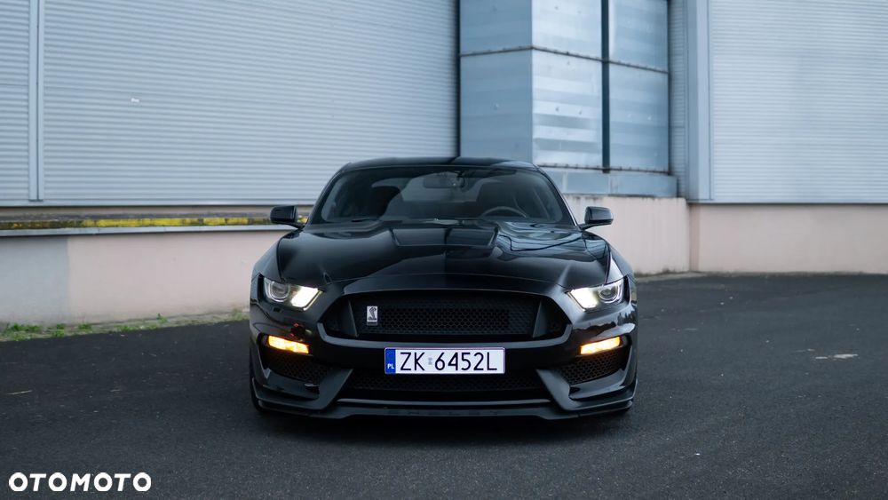 Ford Mustang Fastback 5.0 Ti-VCT V8 BULLITT - 7