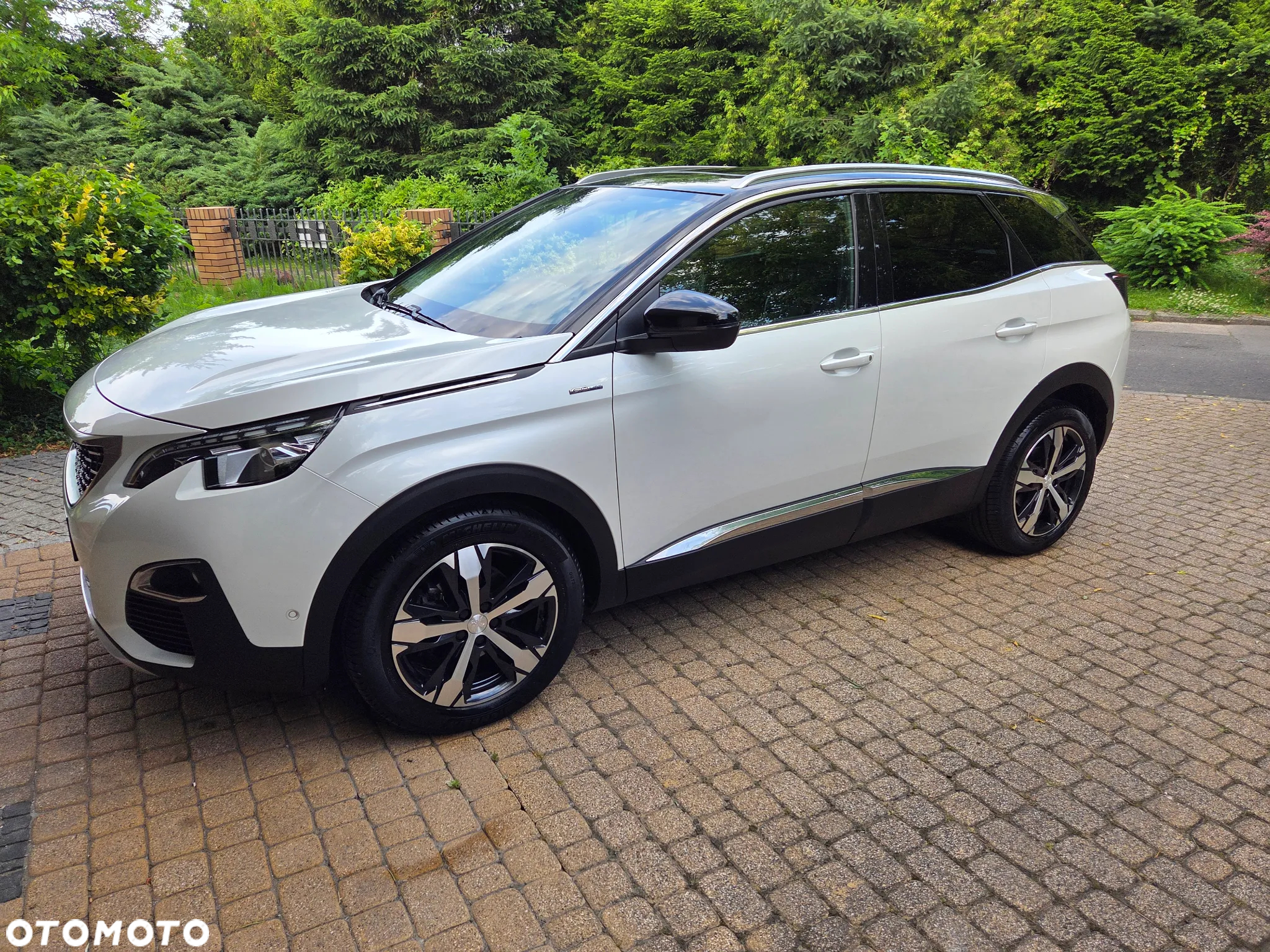 Peugeot 3008 1.5 BlueHDi GT S&S EAT8 - 5