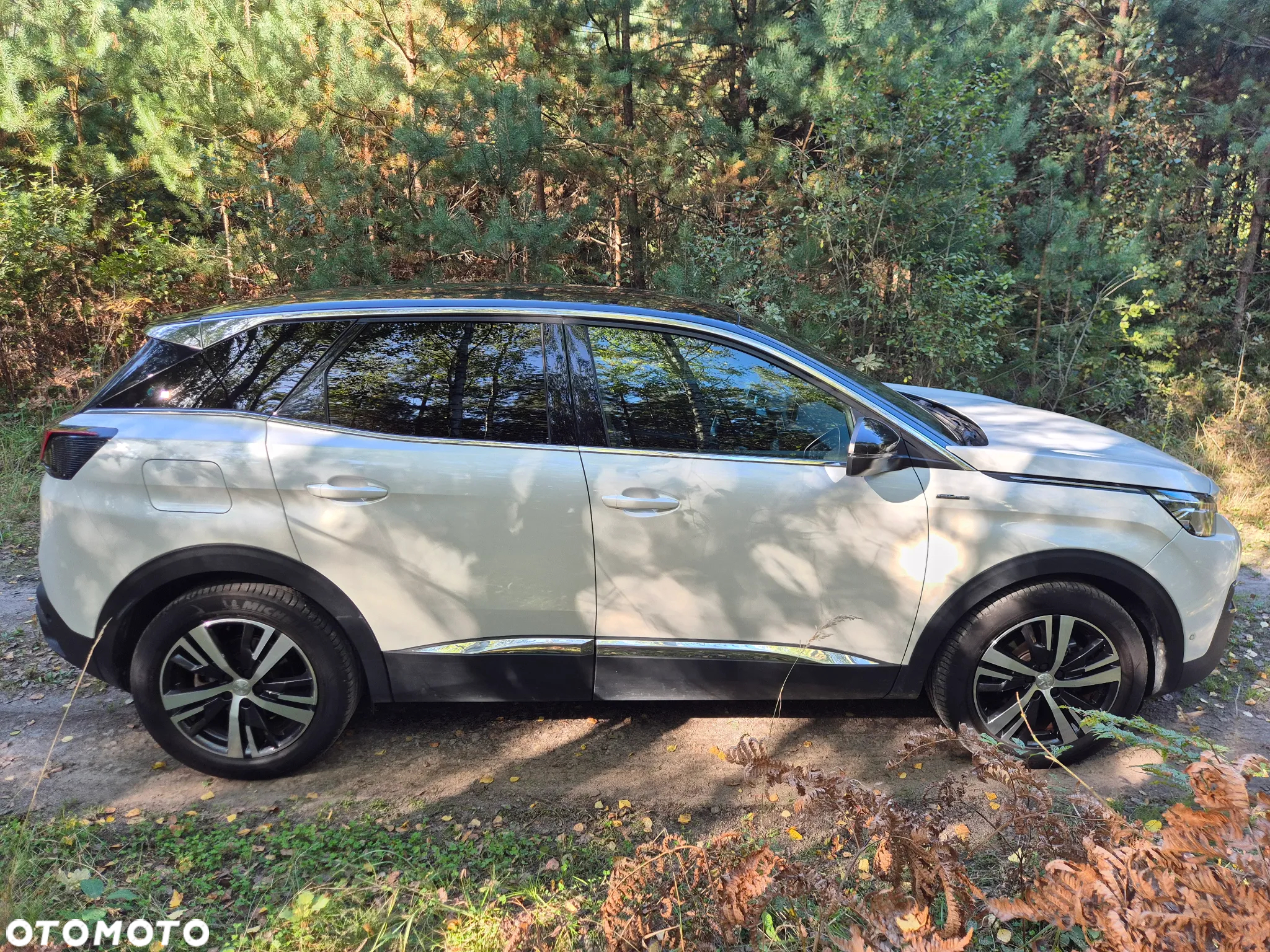 Peugeot 3008 - 2