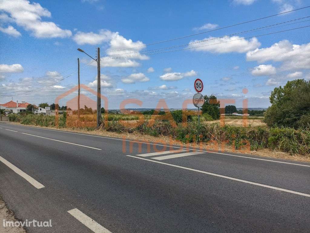 Terreno Central em Alpiarça - Oportunidade Única. - Grande imagem: 4/4