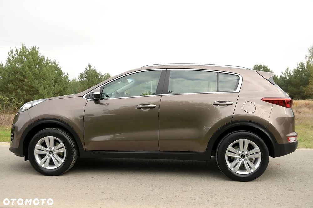 Kia Sportage - 3