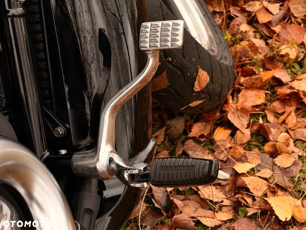 Harley-Davidson V-Rod Muscle - 22