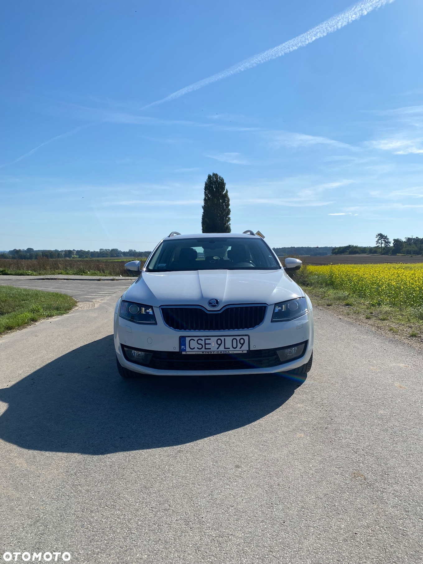 Skoda Octavia 1.4 TSI Elegance - 10
