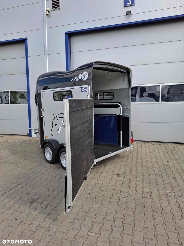 Blyss Cheval Liberté Gold III - 8