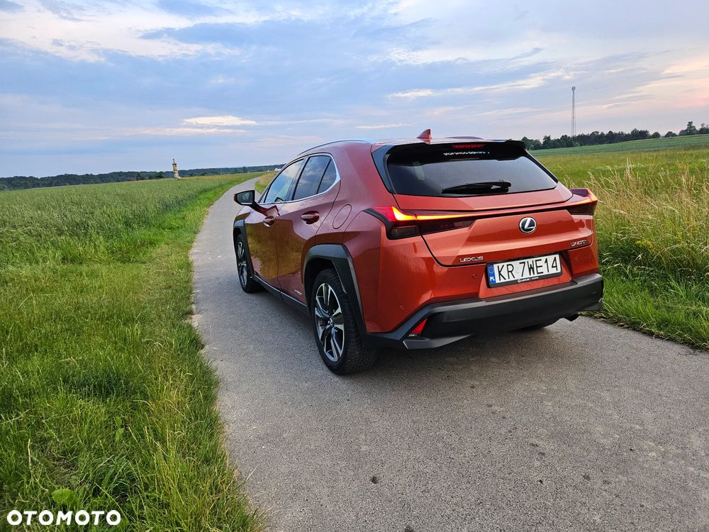Lexus UX 250h GPF Omotenashi AWD - 16