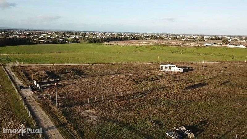 Terreno 5000m2 - Benavente - Santarém - Grande imagem: 2/12