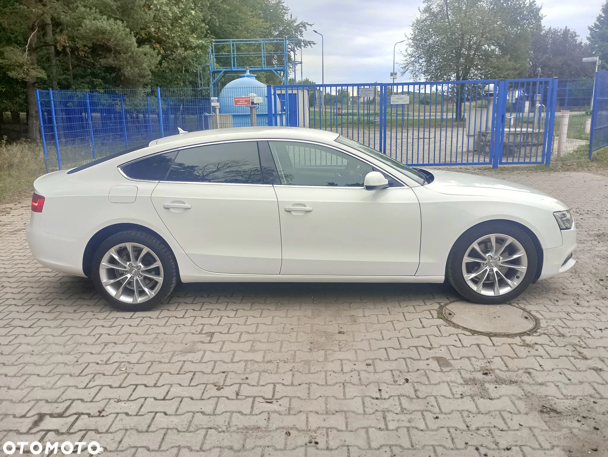 Audi A5 2.0 TDI Sportback DPF (clean diesel) multitronic - 6