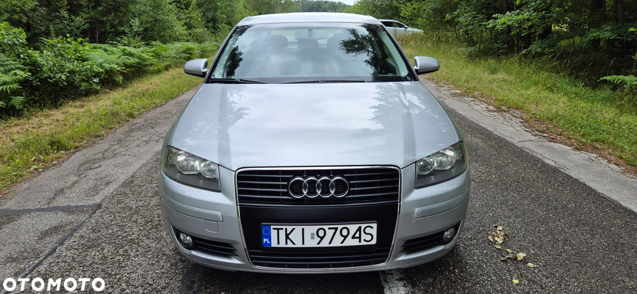 Audi A3 1.6 Attraction - 2