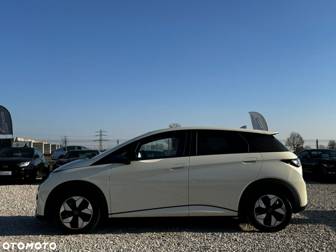 BYD Dolphin Active - 3
