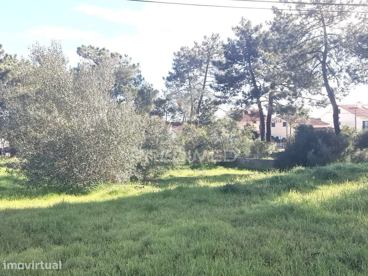 2 Lotes Terrenos Urbanos - Grande imagem: 4/10