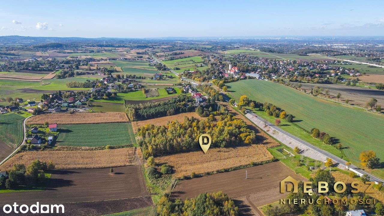 Brzezie | Działka budowlana - 51 ar - Pełny obrazek: 4/8