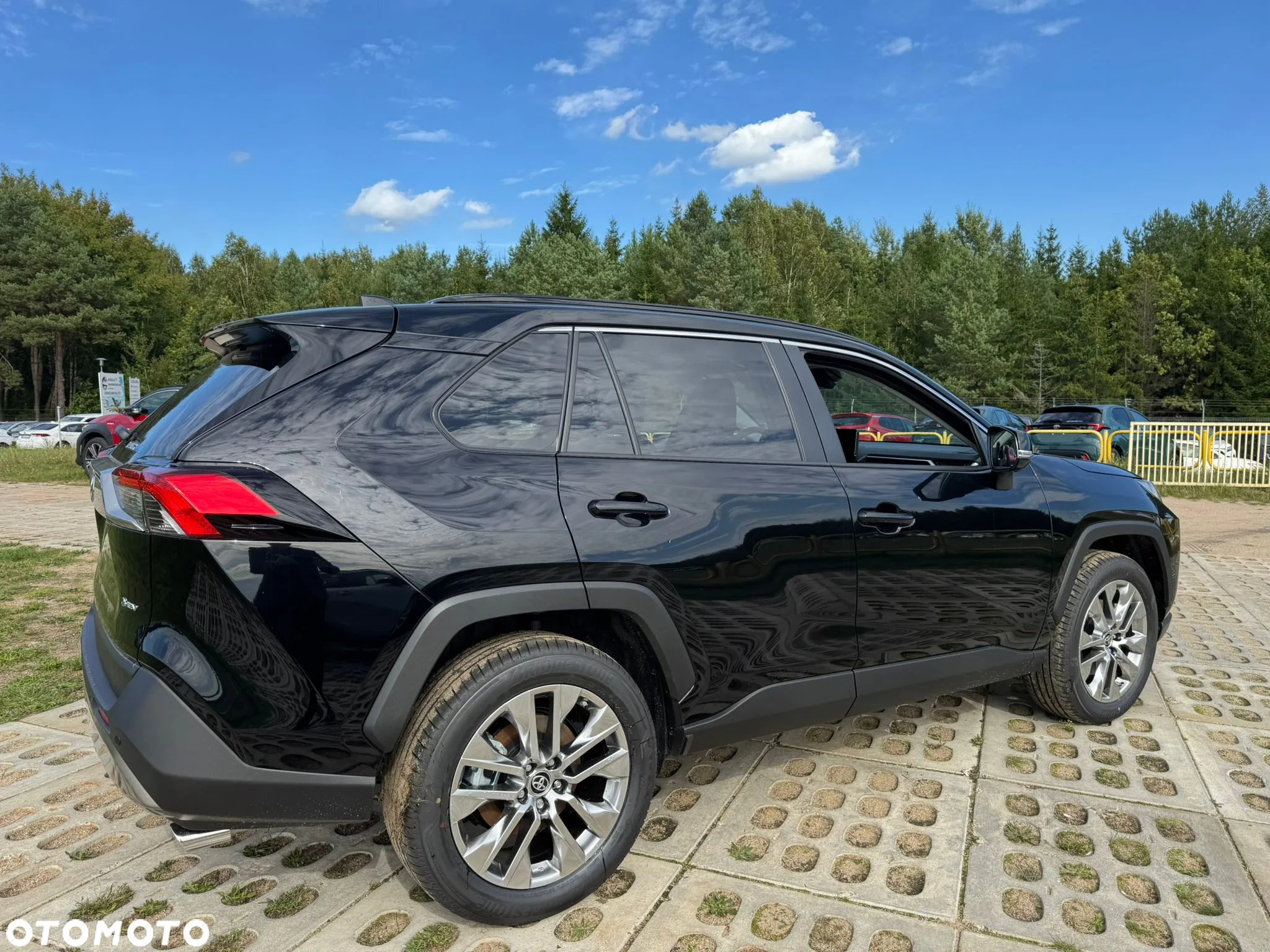 Toyota RAV4 2.5 Hybrid Executive 4x4 - 5