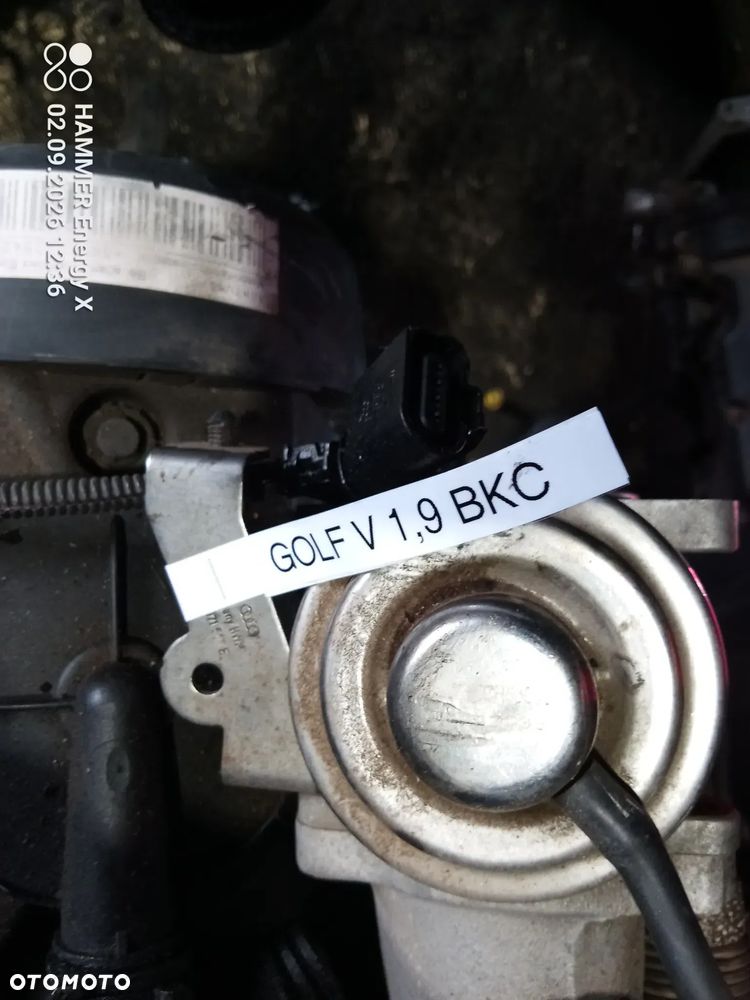 Silnik słupek  BKC Volkswagen  GOLF V PASSAT B6 OCTAVIA II 1.9 TDI - 2