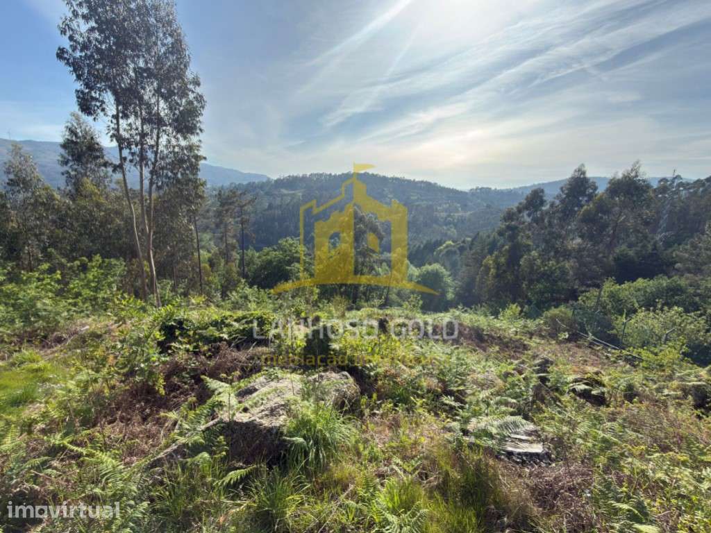 Terreno florestal/agrícola em Vieira do Minho - Grande imagem: 2/4