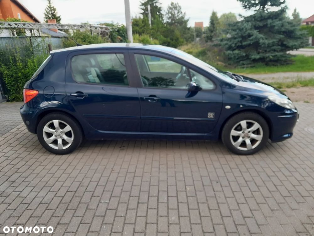 Peugeot 307 2.0 Oxygo - 6