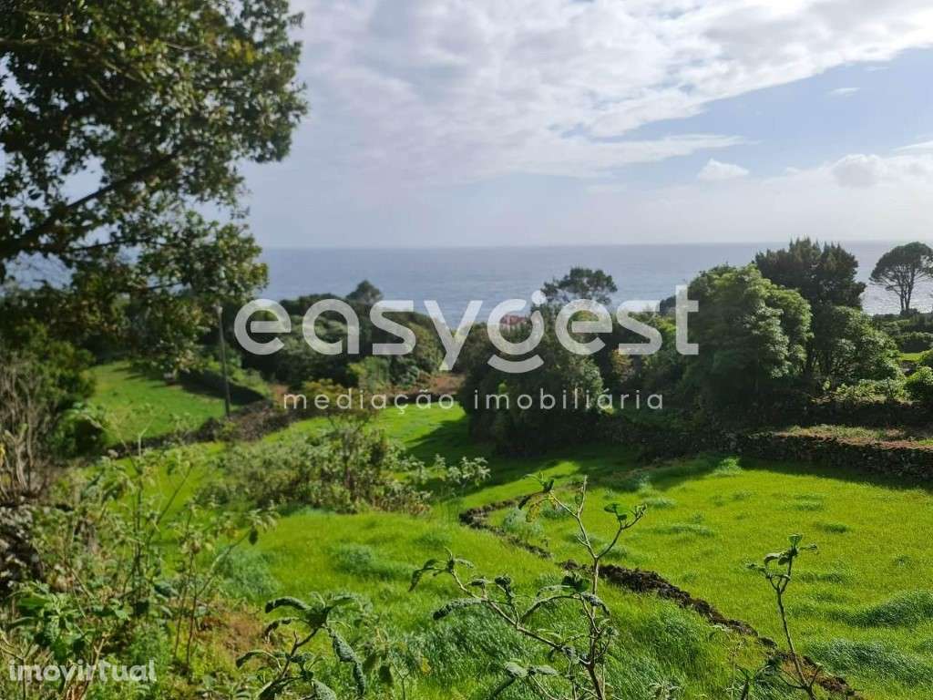 Pequena Ruina em pedra com vista mar em São João do Pico - Grande imagem: 3/15