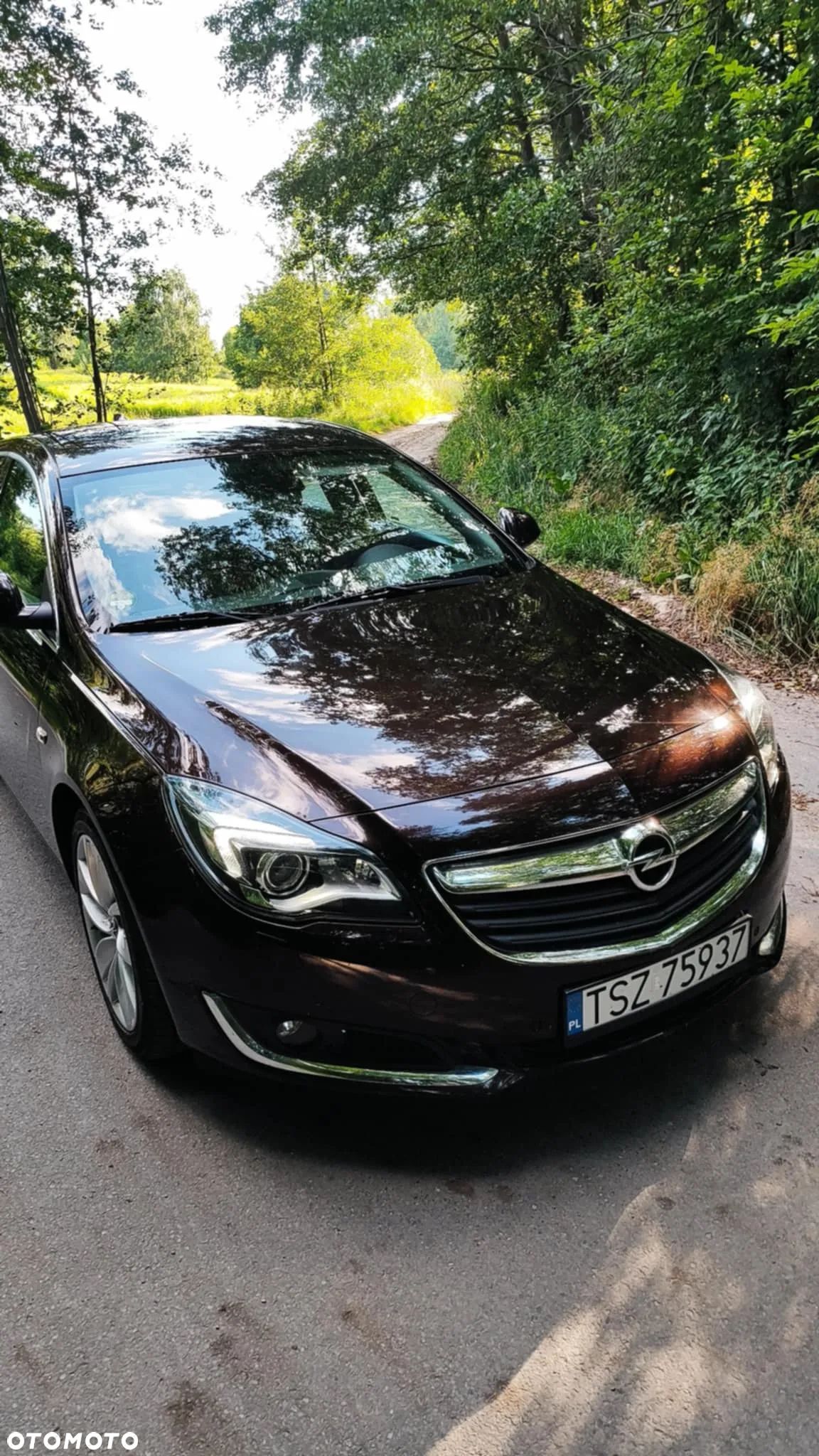 Opel Insignia 2.0 CDTI Edition S&S - 1