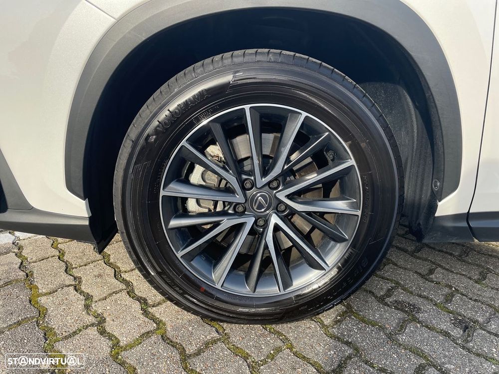 Lexus NX 450h+ Executive - 19