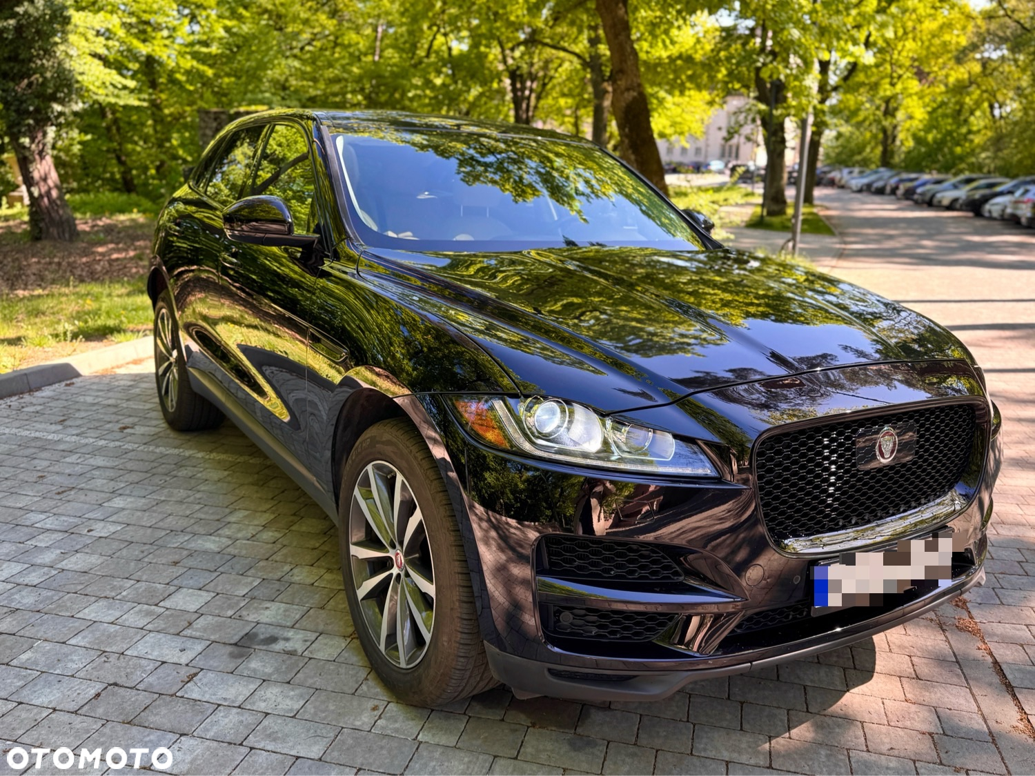 Jaguar F-Pace 25t AWD Prestige - 3