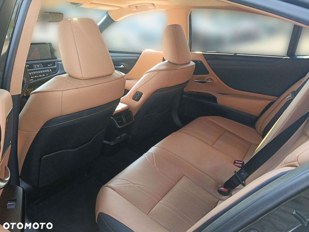 Lexus ES 300h Omotenashi - 16