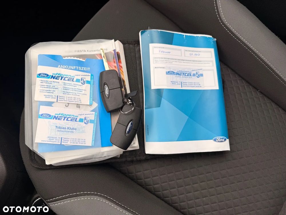 Ford Fiesta 1.0 EcoBoost Gold X EU6 - 28