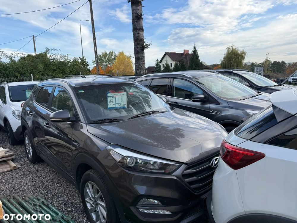 Kia Sportage - 31