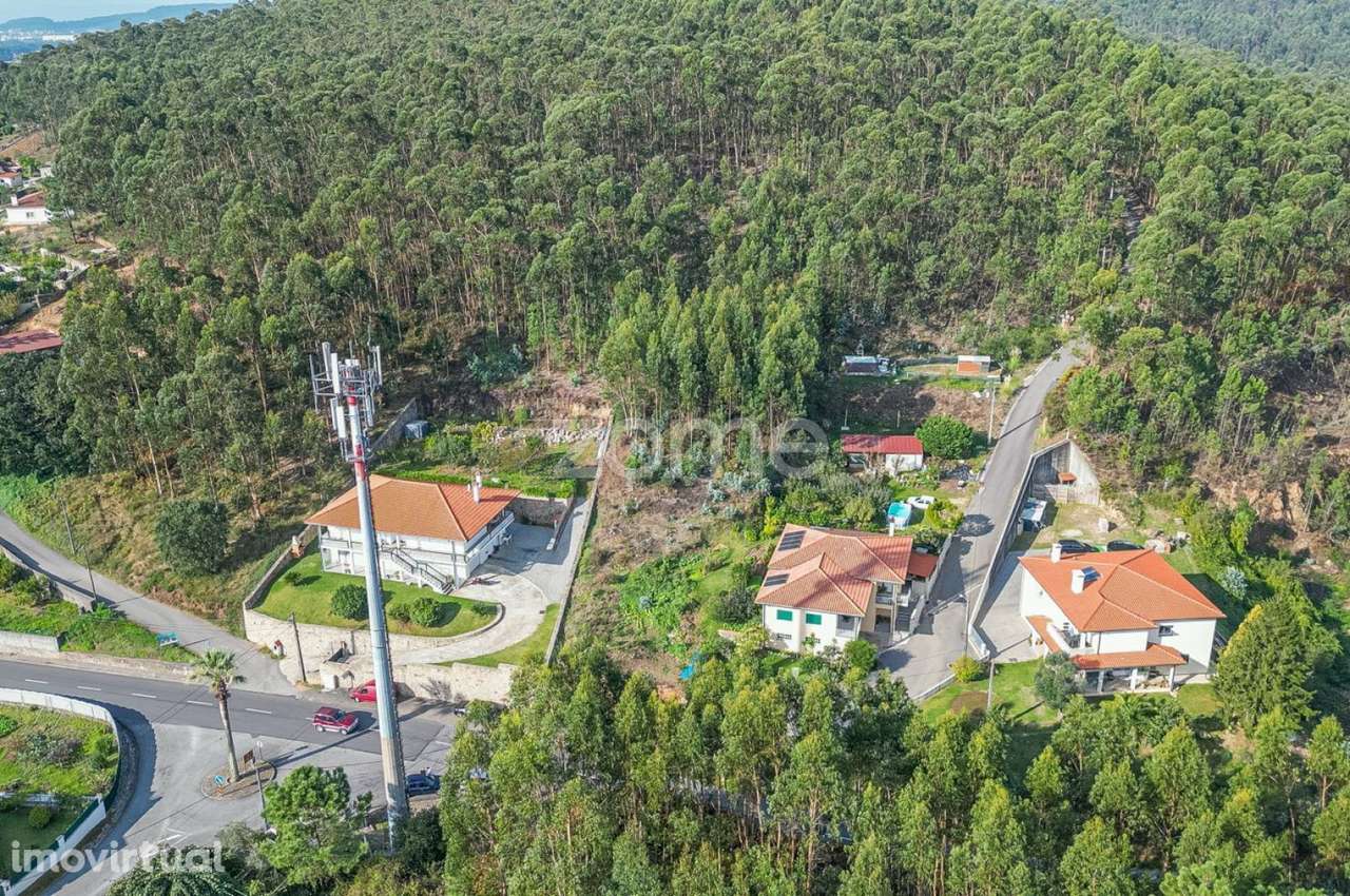 Terreno em Mujães - Grande imagem: 4/15