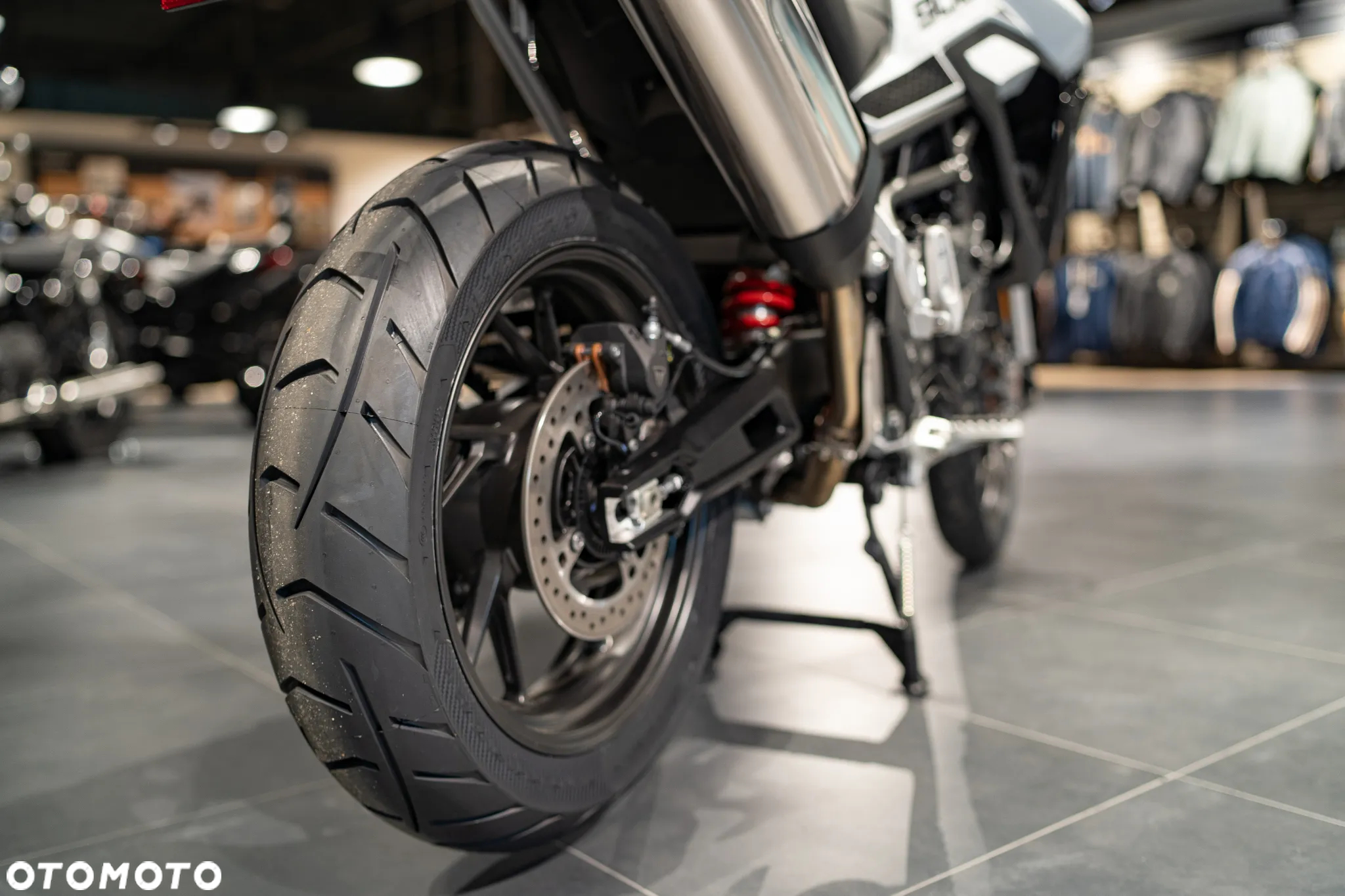 Triumph Tiger - 15