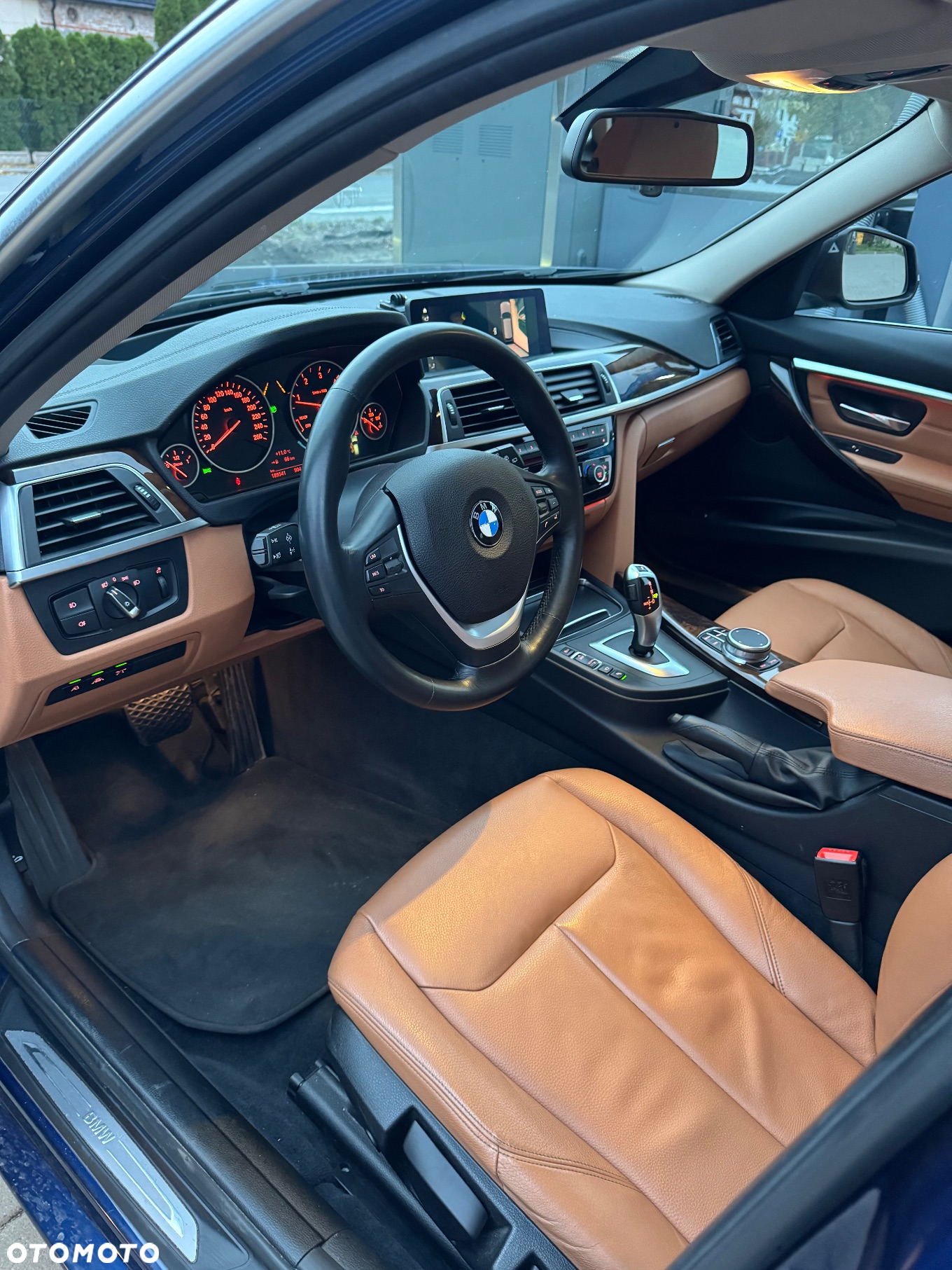 BMW Seria 3 318d Luxury Line - 7