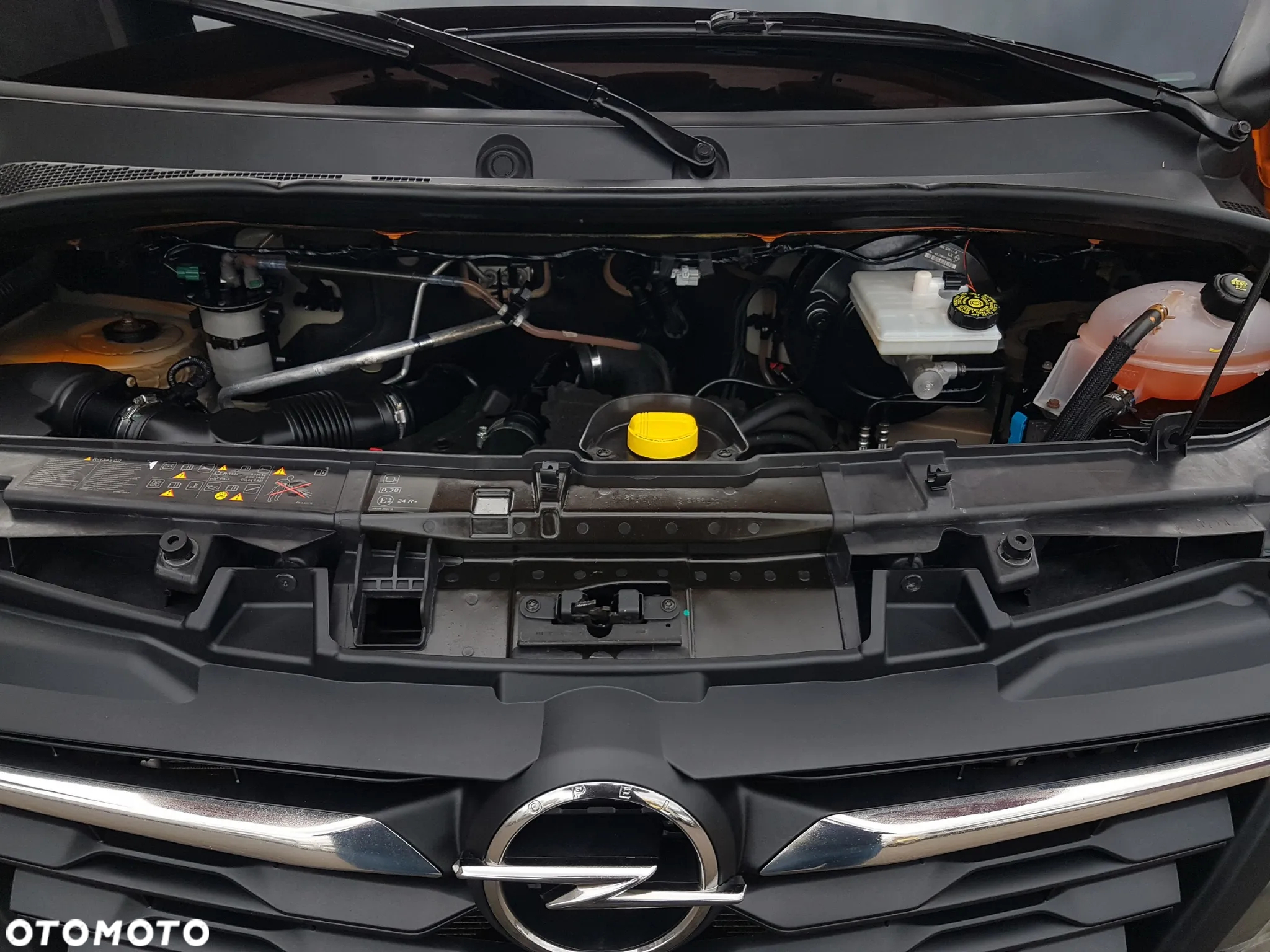 Opel MOVANO L3H2 CHŁODNIA IZOTERMA AGREGAT ZANOTTI  KLIMA DŁUGI WYSOKI TEMPOMAT - 13
