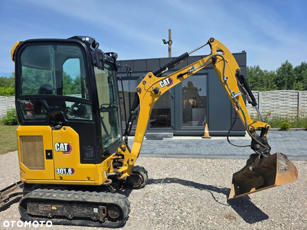 Caterpillar - 7