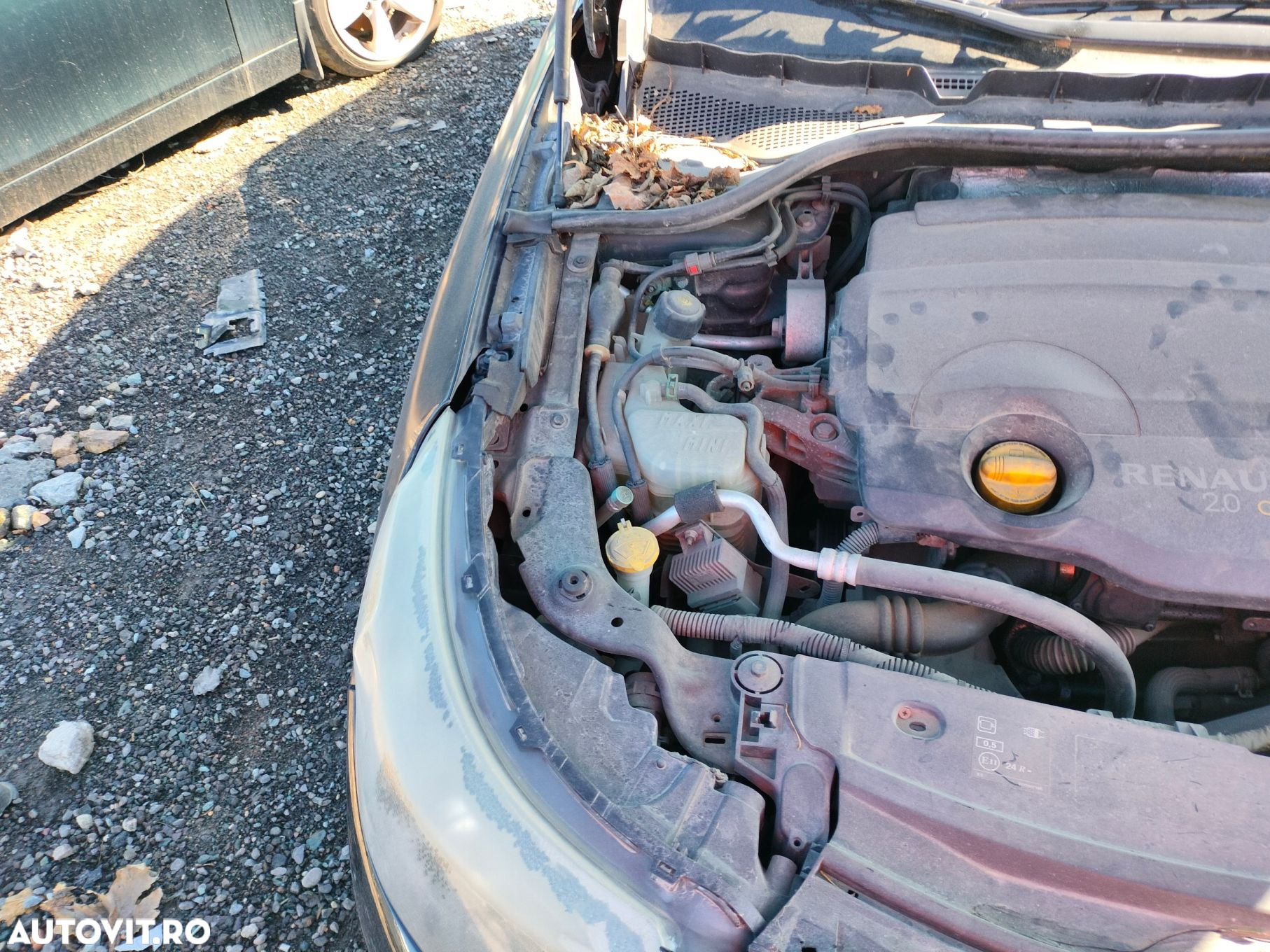 Dezmembrari  Renault LATITUDE (L70)  2010  > 0000 2.0 dCi 150 (L70H) - 3